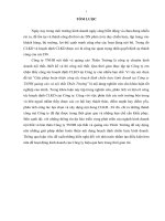 Giải pháp hoàn thiện công tác hoạch định chiến lƣợc kinh doanh tại công ty TNHH quảng cáo và nội thất thiên trƣờng 