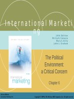 Lecture International marketing (14/e) - Chapter 6