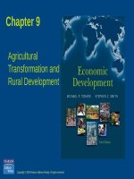 Lecture Economic development - Chapter 9: Agricultural transformation and rural development