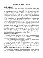 Tóm tắt Luận án Tiến sĩ: Nghiên cứu đặc điểm lâm sàng và mối liên quan giữa nồng độ cytokine với kết quả điều trị bệnh vảy nến thông thường bằng Methotrexate