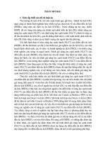 Luận án Tiến sĩ Kinh tế: Nâng cao năng lực cạnh tranh của điểm đến du lịch Hạ Long, Quảng Ninh - Việt Nam