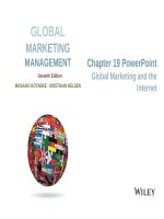 Lecture Global marketing management (7th edition): Chapter 19 - Masaaki Kotabe, Kristiaan Helsen