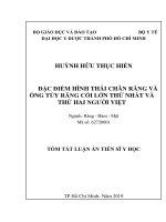 Tóm tắt Luận án tiến sĩ Y học: Đặc điểm hình thái chân răng và ống tủy răng cối lớn thứ nhất và thứ hai người Việt