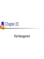 Lecture Managerial finance - Chapter 23: Risk management