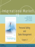 Lecture International marketing (14/e) - Chapter 17