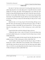 Kế toán bán nhóm hàng máy công nghiệp tại công ty CP đầu tƣ thƣơng mại và dịch vụ bình minh việt 