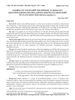 Nghiên cứu tách chiết polyphenol và khảo sát khả năng kháng oxy hóa, kháng khuẩn của dịch chiết từ lá cây kim vàng (Barleria lupulina L.)