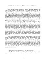 Nguyên nhân thành công của Bitis và thất bại Bphone