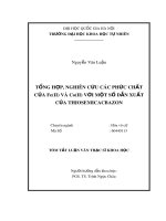 Tóm tắt Luận văn Thạc sĩ Khoa học: Tổng hợp, nghiên cứu các phức chất của Fe(II) và Co(II) với một số dẫn xuất của thiosemicacbazon