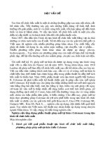 Tóm tắt Luận án Tiến sĩ: Nghiên cứu ứng dụng phẫu thuật ghép mỡ tự thân (Coleman) trong tạo hình tổ chức hốc mắt