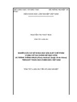 Tóm tắt Luận án Tiến sĩ Lâm nghiệp: Nghiên cứu cơ sở khoa học sản xuất chế phẩm vi sinh vật đa chủng để gieo ươm và trồng thông nhựa (Pinus merkusii Jungh. Et de Vriese) trên đất thoái hóa