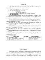 Hoàn thiện trả lƣơng tại công ty cổ phần đầu tƣ và khoáng sản FLC AMD 