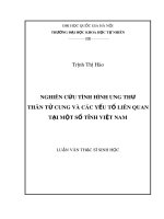 Luận văn Thạc sĩ Khoa học: Nghiên cứu tình hình ung thư thân tử cung và các yếu tố liên quan tại một số tỉnh Việt Nam