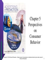 Lecture Advertising and promotion: An integrated marketing communications perspective  (10/e): Chapter 5 - George E. Belch, Michael A. Belch