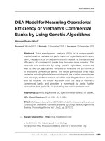DEA model for measuring operational efficiency of Vietnam’s commercial banks by using genetic algorithms
