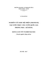 Nghiên cứu khu hệ nhện (araneae) tại vườn thực vật, vườn quốc gia phong nha   kẻ bàng (2017) 