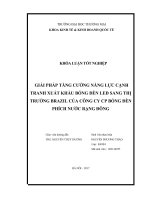 GIẢI PHÁP TĂNG CƢỜNG NĂNG lực CẠNH TRANH XUẤT KHẨU BÓNG đèn LED SANG THỊ TRƢỜNG BRAZIL của CÔNG CY CP BÓNG đèn PHÍCH nƣớc RẠNG ĐÔNG 