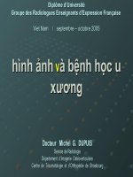 Bài giảng Hình ảnh và bệnh học u xương