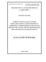 Luận án tiến sĩ Sinh học: Nghiên cứu phân loại các loài dơi thuộc giống Myotis và giống Pipistrellus (Chiroptera: Vespertilionidae) ở một số tỉnh miền Bắc Việt Nam dựa trên đặc điểm hình
