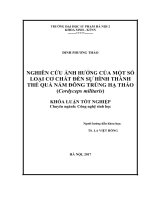 Nghiên cứu ảnh hưởng của một số loại cơ chất đến sự hình thành thể quả nấm đông trùng hạ thảo (cordyceps militaris) (2017) 