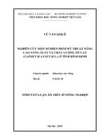 Tóm tắt Luận án tiến sĩ Nông nghiệp: Nghiên cứu một số biện pháp kỹ thuật nhằm nâng cao năng suất và chất lượng ớt cay (Capsicum Annuum L.) ở tỉnh Bình Định