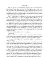 Hoàn thiện chính sách xúc tiến thƣơng mại cho dịch vụ gold supplier của công ty cổ phần đầu tƣ và công nghệ OSB trên thị trƣờng hà nội 