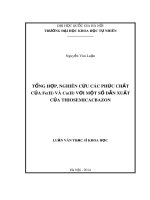 Luận văn Thạc sĩ Khoa học: Tổng hợp, nghiên cứu các phức chất của Fe(II) và Co(II) với một số dẫn xuất của thiosemicacbazon