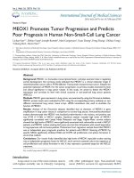 MEOX1 promotes tumor progression and predicts poor prognosis in human non-small-cell lung cancer