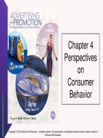 Lecture Advertising and promotion: An integrated marketing communications perspective  (10/e): Chapter 4 - George E. Belch, Michael A. Belch