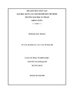 Luận án Thạc sỹ Khoa học: Về các radical của các PI-đại số