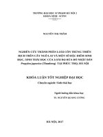 Nghiên cứu thành phần loài côn trùng thiên địch trên cây ngô lai và một số đặc điểm sinh học, sinh thái học của loài bọ rùa đỏ nhật bản propylea japonica (thunberg) tại phúc thọ, hà nội (2017) 