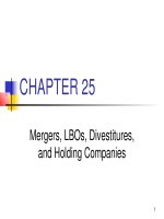 Lecture Managerial finance - Chapter 25: Mergers, LBOs, divestitures, and holding companies
