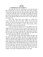 Tóm tắt Luận án Tiến sĩ: Phát triển nông nghiệp theo hướng bền vững ở vùng đồng bằng sông Hồng