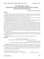 Đặc điểm thực vật học loài bán hạ ba thùy Typhonium trilobatum (L.) Schott, họ ráy (Araceae) ở Việt Nam