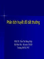 Bài giảng Phân tích huyết đồ bất thường - PGS.TS. Trần Thị Mộng Hiệp