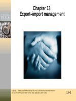 Lecture International trade and investment (2/e): Chapter 13 - John Gionea