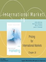 Lecture International marketing (14/e) - Chapter 18