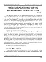 Nghiên cứu các yếu tố ảnh hưởng đến mức sẵn lòng chi trả thêm cho tiêu dùng xanh của người tiêu dùng tại thành phố Cần Thơ