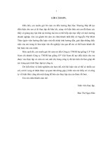 Quản trị khoản phải thu tại công ty TNHH hạt giống c p việt nam – chi nhánh công ty TNHH hạt giống CP việt nam 