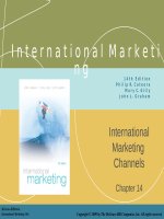 Lecture International marketing (14/e) - Chapter 14