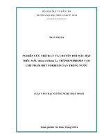 Luận văn Thạc sĩ Công nghệ thực phẩm: Nghiên cứu trích ly và chuyển đổi màu hạt điều màu (Bixa orellana L.) thành norbixin tạo chế phẩm bột norbixin tan trong nước