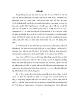 Luận văn Thạc sĩ Khoa học: Nghiên cứu xây dựng quy trình phát hiện nhanh virus cúm gia cầm A/H5N1 trong mẫu bệnh phẩm bằng kỹ thuật Multiplex Reverse Transcription Polymerase Chain Reaction