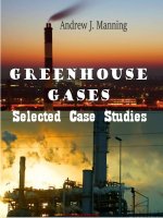  greenhouse gases selected case studies  ed  by andrew j  manning 