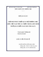 Luận án Tiến sĩ Kinh tế: Giải pháp phát triển quan hệ thương mại giữa Việt Nam và các nước trong Liên minh thuế quan miền Nam châu Phi (SACU)