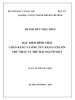 Luận án tiến sĩ Y học: Đặc điểm hình thái chân răng và ống tủy răng cối lớn thứ nhất và thứ hai người việt