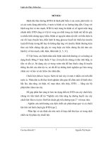 Luận văn Thạc sĩ Khoa học: Nghiên cứu khả năng hạ đường huyết của cây chuối hột Musra barjoo Sieb lên chuột gây tiểu đường type 2