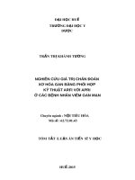 Tóm tắt Luận án Tiến sĩ Y học: Nghiên cứu giá trị chẩn đoán xơ hóa gan bằng phối hợp kỹ thuật ARFI với APRI ở các bệnh nhân viêm gan mạn