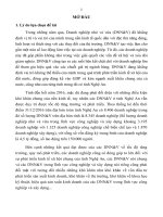 Tóm tắt Luận án tiến sĩ Kinh tế: Vai trò hoạt động cho vay của Ngân hàng thương mại cổ phần đối với phát triển Doanh nghiệp nhỏ và vừa - Nghiên cứu trên địa bàn tỉnh Nghệ An