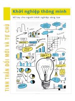 Ebook Khởi nghiệp thông minh (Sổ tay cho người khởi nghiệp sáng tạo)