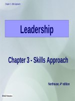Lecture Leadership - Theory and practice: Chapter 3 - Skills approach